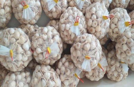 Quảng Ngãi: Hỗ trợ nông dân Lý Sơn tiêu thụ tỏi