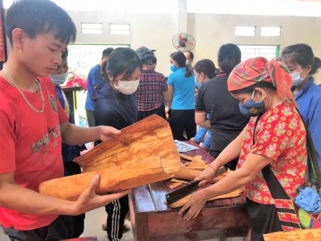 Lào Cai: Tập huấn kỹ thuật sơ chế một số mặt hàng quế
