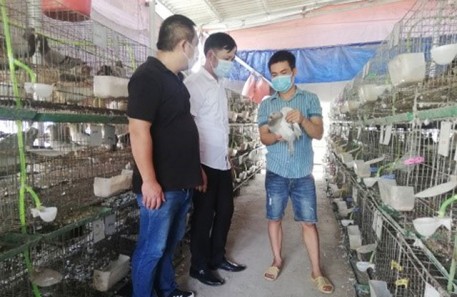 Chăn nuôi an toàn để xây dựng thương hiệu
