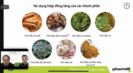 Sử dụng thảo dược, hướng đi bền vững trong chăn nuôi