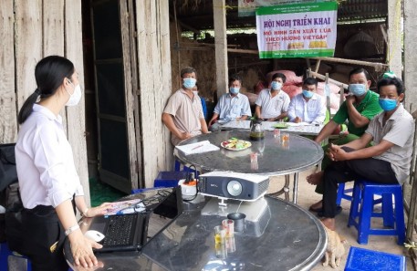Long An: Triển khai chương trình hỗ trợ giá giống, xây dựng mô hình ứng dụng công nghệ tiên tiến trong sản xuất lúa
