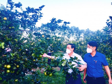 Kết quả thực hiện các mô hình phát triển kinh tế nông nghiệp trọng điểm