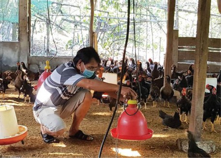 Về “ao nhà” làm giàu