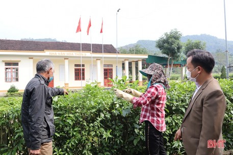 Bí thư chi bộ đi đầu trong xây dựng khu dân cư thông minh ở xóm núi