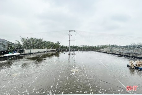 Thu nhập tiền tỷ nhờ dám nghĩ, dám làm