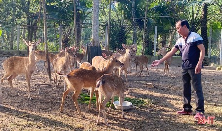Xây dựng chuỗi liên kết các sản phẩm OCOP từ nhung hươu