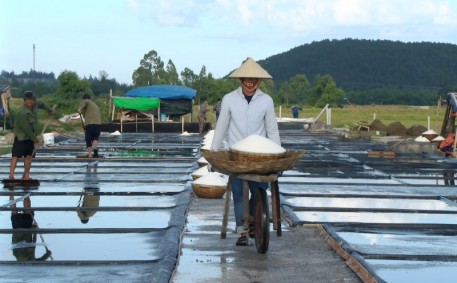 Hà Tĩnh: Áp dụng công nghệ sản xuất muối sạch theo phương pháp trải bạt ô kết tinh