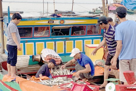 Hà Tĩnh: Sản lượng thủy sản 6 tháng đầu năm tăng 3,3%