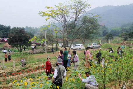 Tập trung triển khai các giải pháp về phát triển du lịch nông nghiệp, nông thôn trong xây dựng nông thôn mới