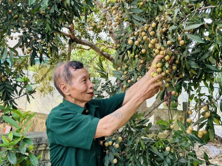 Gương sáng về cựu chiến binh Nguyễn Xuân Thược, xã Cẩm Bình