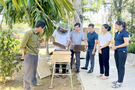 Cựu chiến binh tiên phong xây dựng du lịch sinh thái cộng đồng