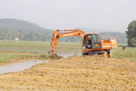 Sơn Tiến triển khai tập trung, tích tụ hơn 12ha ruộng đất