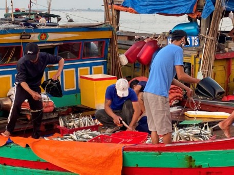 Sản lượng khai thác thủy hải sản Hà Tĩnh đạt hơn 39 nghìn tấn