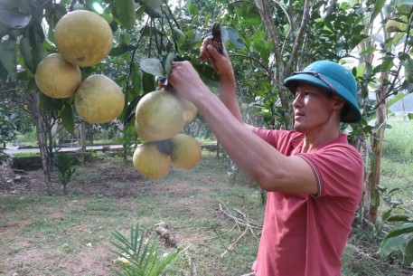Chuyện phó Chỉ huy trưởng Ban Chỉ huy quân sự (CHQS) xã vững chuyên môn, giỏi làm kinh tế