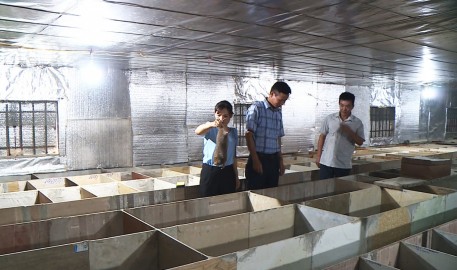 h1 mh dui ong tinh co quy mo lon va xay dung chuong trai bai ban