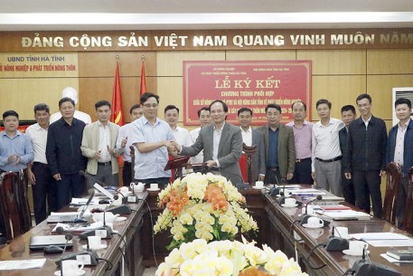 Phối hợp phát triển nông nghiệp, kinh tế nông thôn, xây dựng nông thôn mới