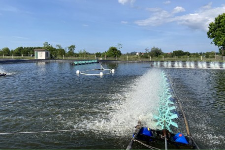 Sẵn sàng bước vào vụ nuôi tôm xuân hè 2024