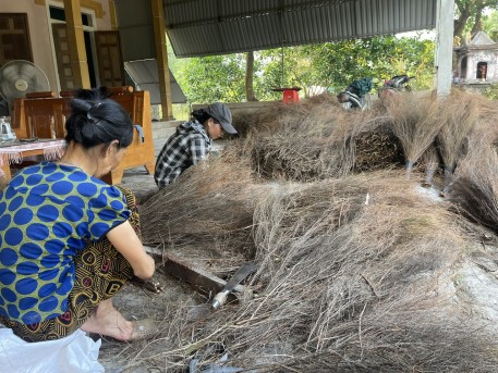 Cây rèng rèng tăng thu nhập kinh tế  nơi vùng đất bán Sơn địa