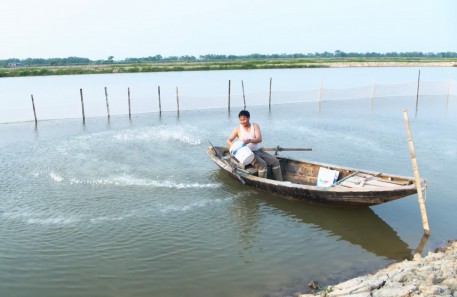 Triển khai thả giống mô hình nuôi xen ghép thủy sản