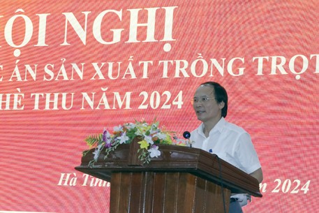 Hà Tĩnh phấn đấu vụ Hè Thu năm 2024 đạt hơn 234 nghìn tấn lương thực