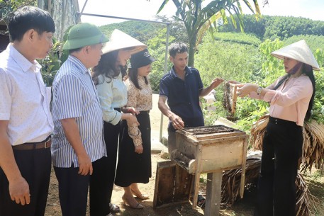 Ngọt ngào mật ong Vũ Quang