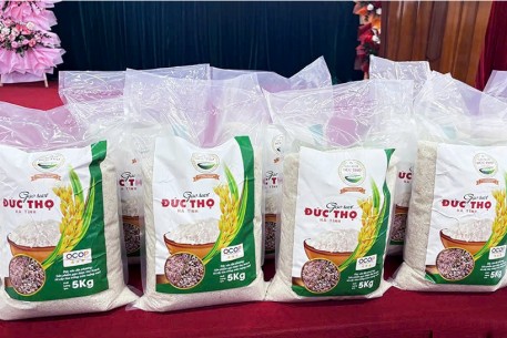 Gạo rươi Đức Thọ