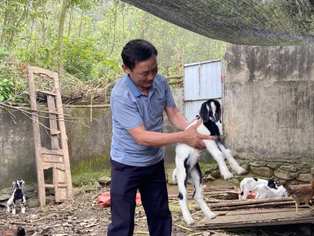 Nuôi dê bán chăn thả nâng cao thu nhập cho người dân xã ven biển Kỳ Xuân