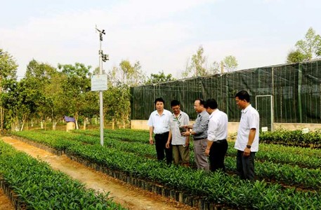 Nâng cao kiến thức xây dựng khu dân cư nông thôn mới kiểu mẫu cho hơn 1.500 hộ dân