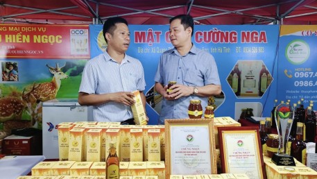 Mật ngọt từ rừng xanh: Nuôi ong – Hướng đi bền vững ở Sơn Hồng