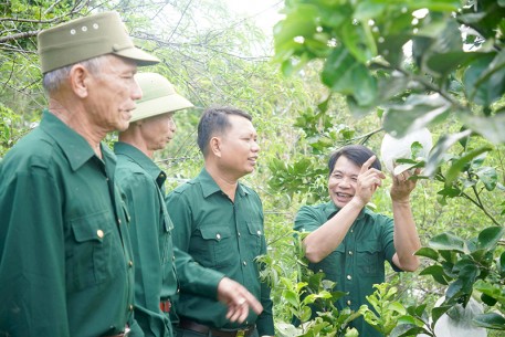 CCB Nguyễn Tiến Huấn: Vượt khó vươn lên, phát triển kinh tế gia trại thu nhập hàng trăm triệu đồng mỗi năm