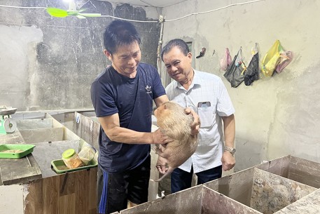 Thành công từ mô hình nuôi dúi đầu tiên ở xã Thạch Lạc