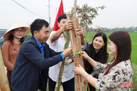 Xã Cẩm Xuyên trồng 750 cây xanh đầu Xuân Bính Ngọ
