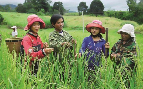 Phân bổ vốn ngân sách tại địa phương để xây dựng nông thôn mới và giảm nghèo bền vững giai đoạn 2026–2030