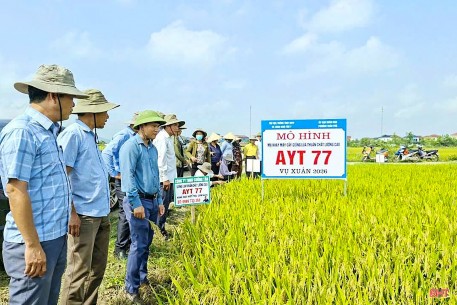 Hà Tĩnh phê duyệt Kế hoạch thực hiện Chương trình MTQG xây dựng NTM, giảm nghèo bền vững giai đoạn 2026 – 2030