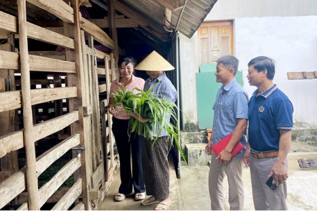 Chăn nuôi hươu giúp nông dân Đức Thọ nâng cao thu nhập