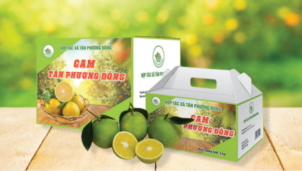 Cam Thượng Lộc Tân Phương Đông