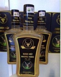 Rượu nhung hươu Hương Luật