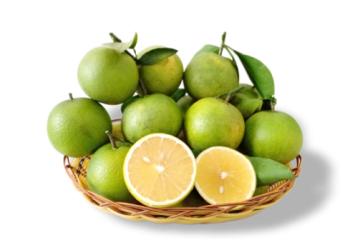 Cam Thượng Lộc Xuân Hòa