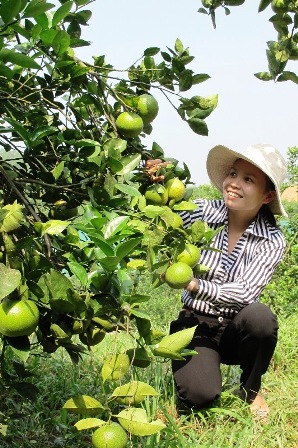 Mô hình trang trại tổng hợp ông Ngô Xuân Linh