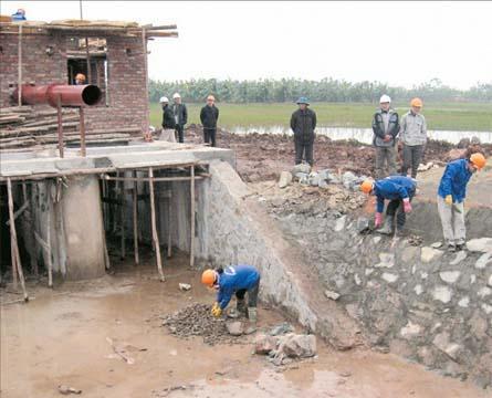 Xã thuần nông vẫn có thu nhập cao