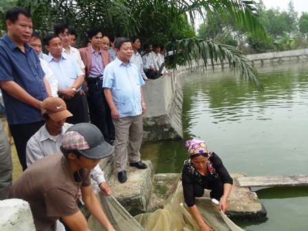 MÔ HÌNH HỢP TÁC XÃ CHĂN NUÔI BÌNH SƠN