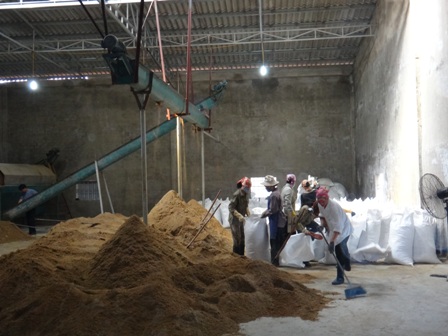 Mô hình HTX thu mua, chế biến bột cá