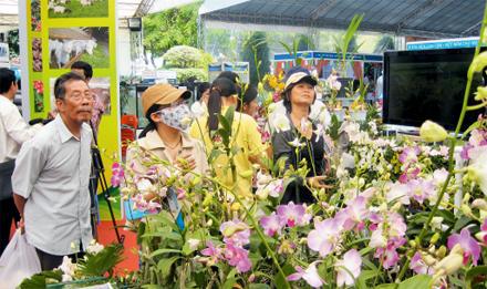 Coi trọng chất lượng xây dựng xã nông thôn mới