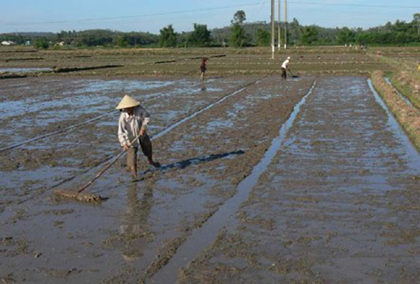Miền bắc kết thúc đợt rét đậm