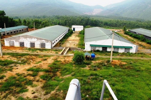 MÔ HÌNH HTX CHĂN NUÔI VÀ DỊCH VỤ TỔNG HỢP HOÀNG CHÂU