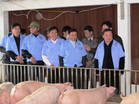 Cẩm Xuyên: Cần chủ động, bài bản, sáng tạo, quyết liệt và sâu sát nhân rộng mô hình sản xuất kinh doanh