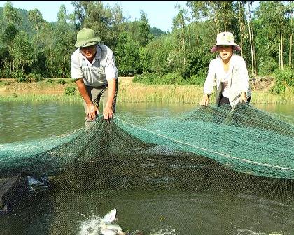 Thay đổi trong phát triển kinh tế ở xã Cẩm Lĩnh