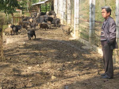 Vượt gian khó làm giàu