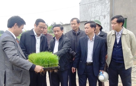 Cẩm Xuyên: Thí điểm sản xuất mạ khay và trình diễn máy cấy