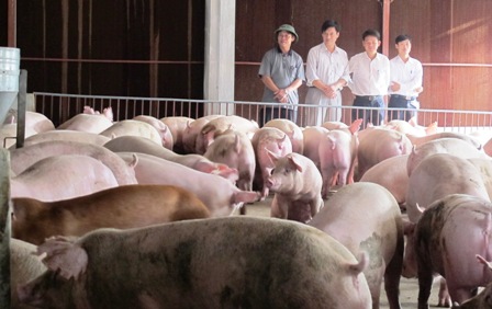 "Thắng không kiêu, bại không nản"